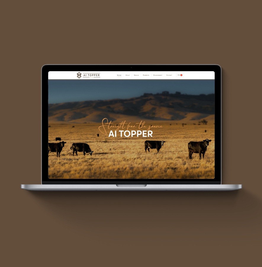 website-design-aitopper
